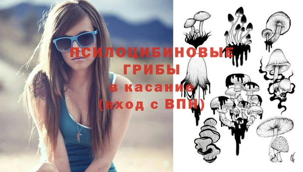 эйфоретик Алексеевка